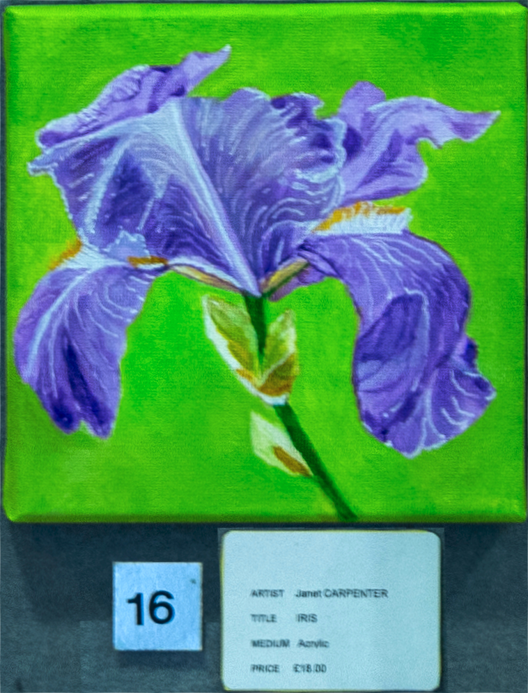 Iris