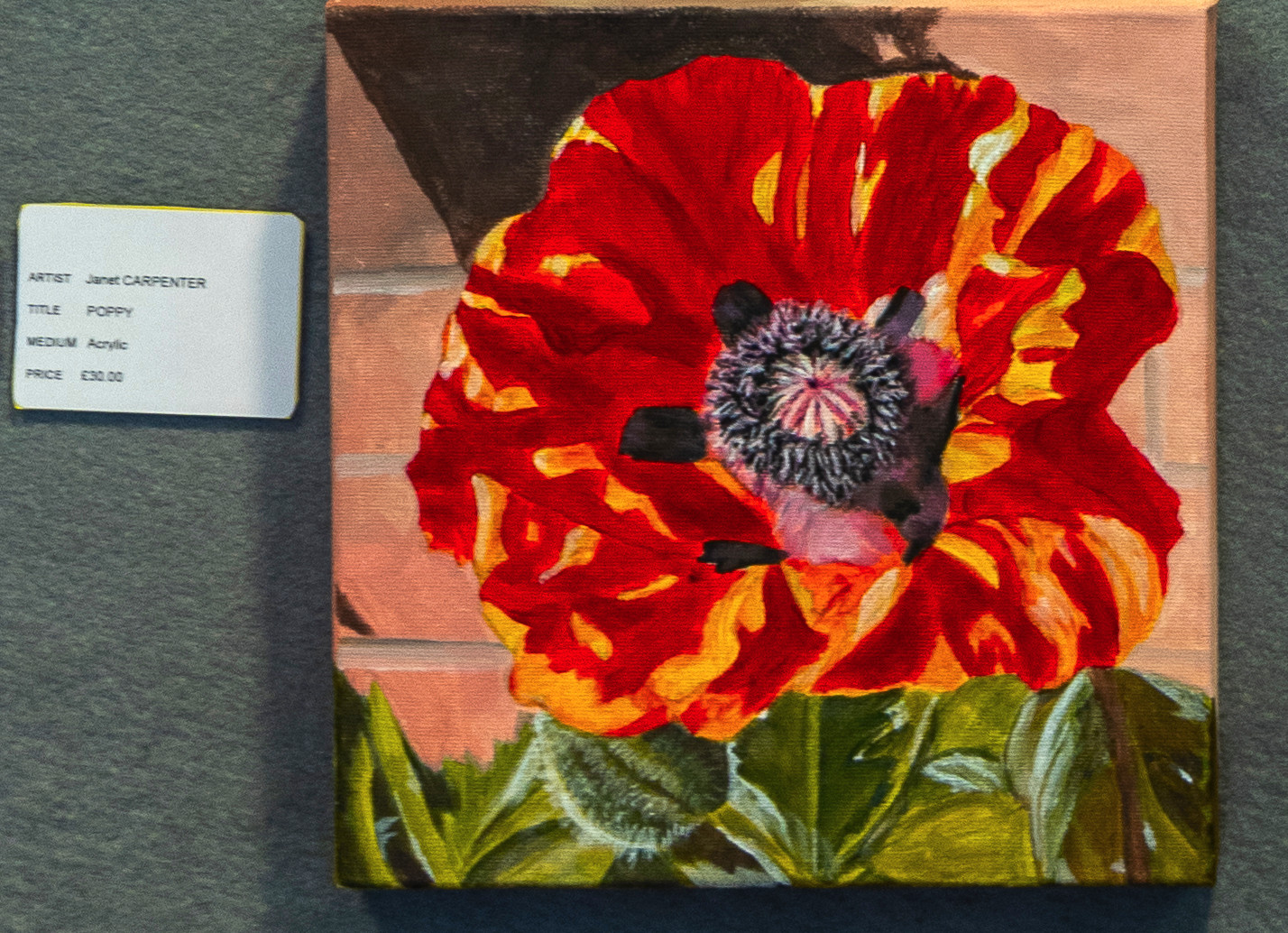 Poppy