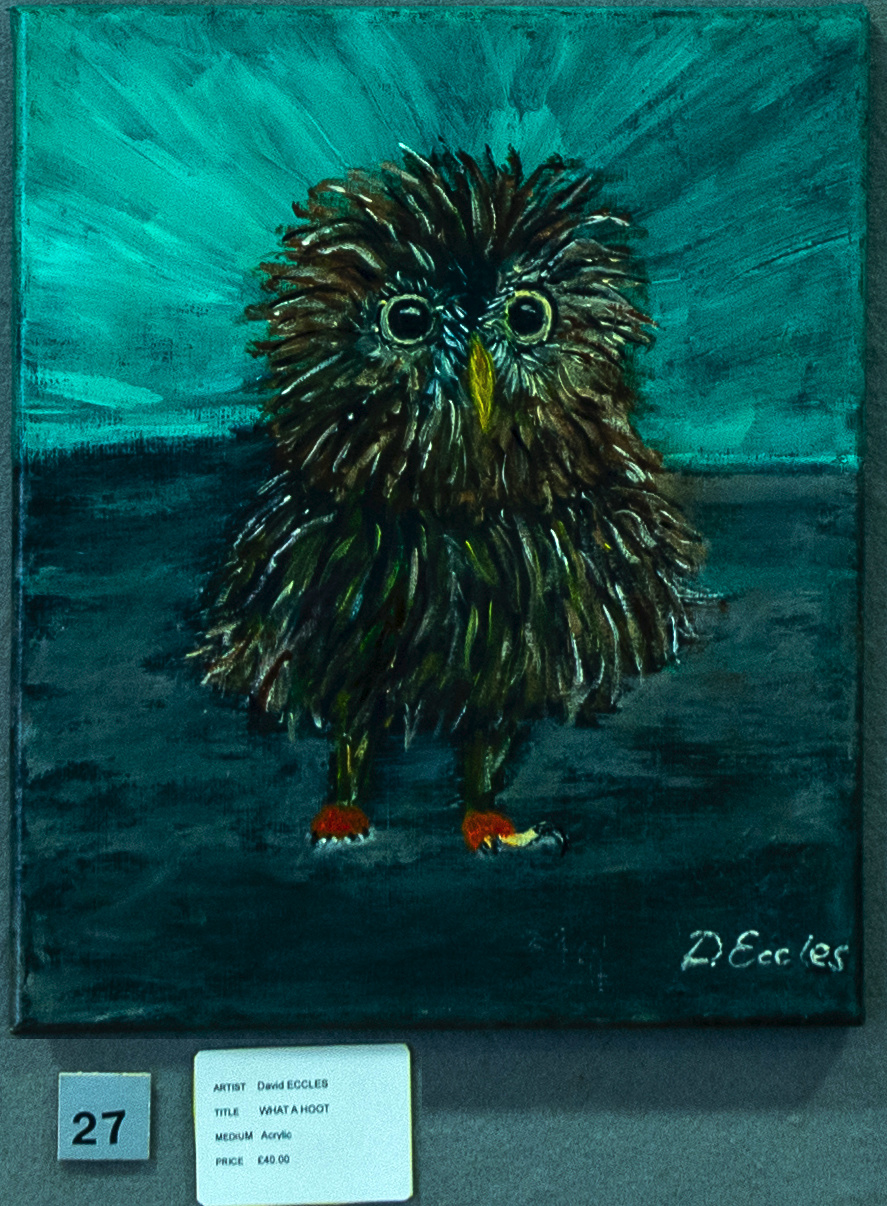 What A Hoot