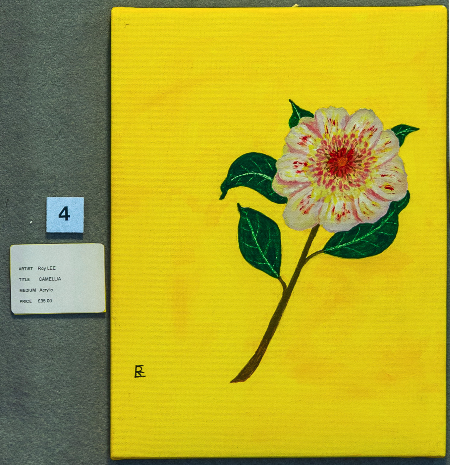 Camellia